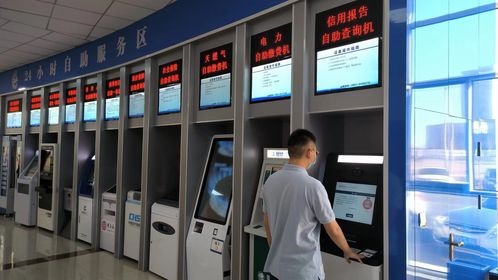 政务服务大厅创新便民举措 征信报告自助查询与物流信息咨询服务双入驻